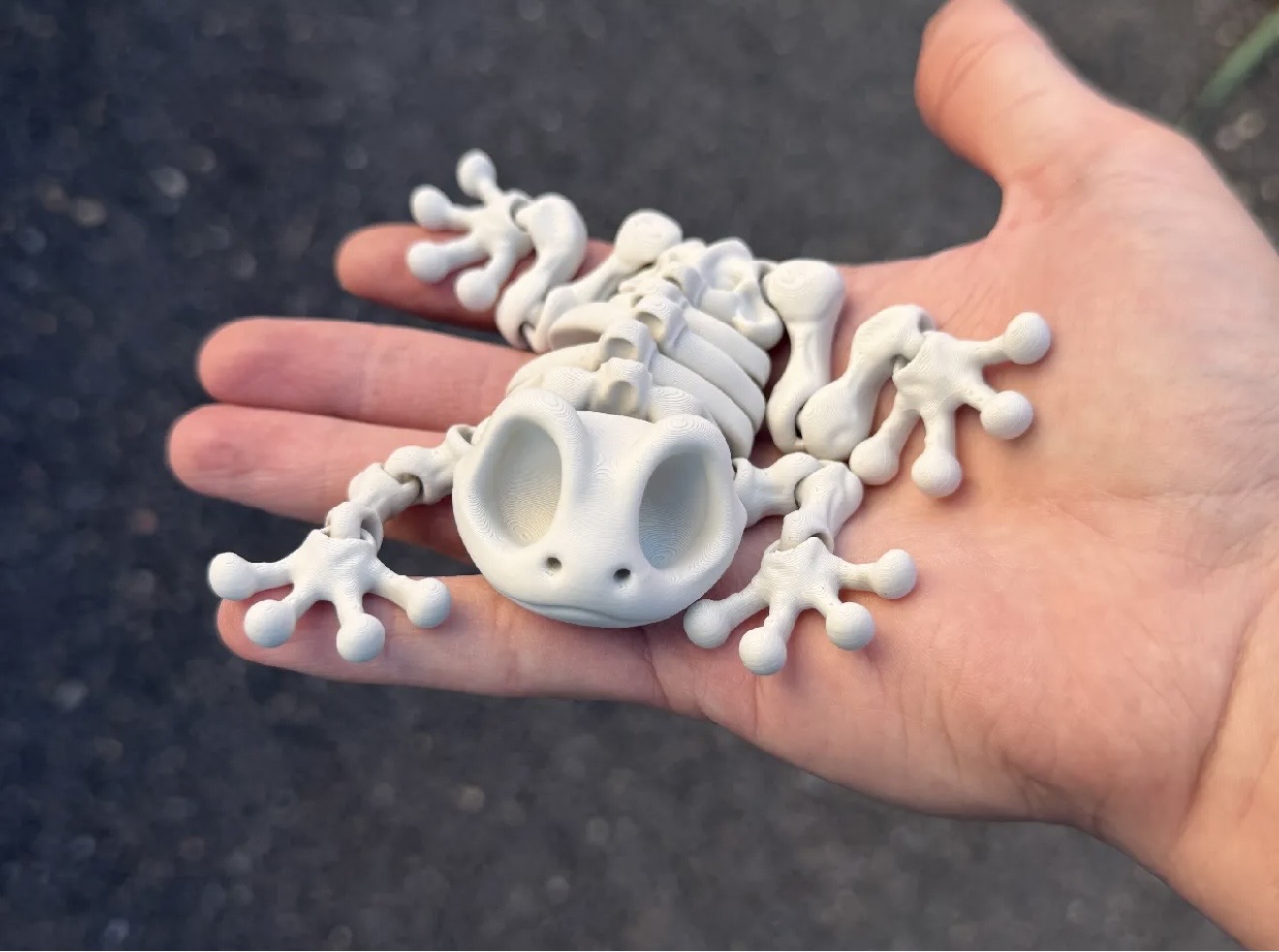 Articulated Skeleton Frog - Black