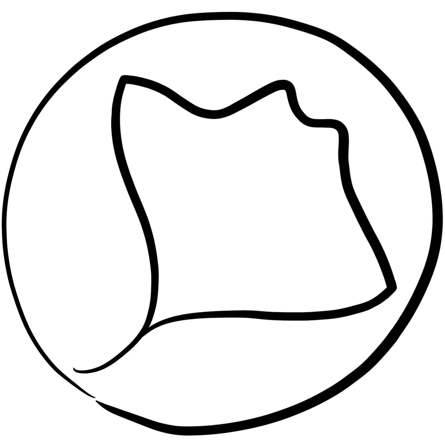 stingrayshaped
