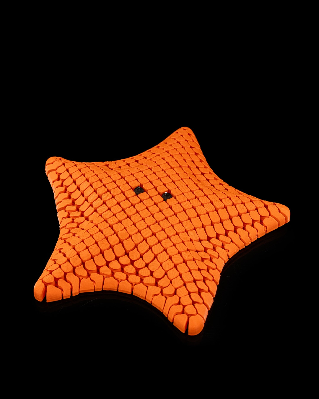 Betsie The Bat Sea Star