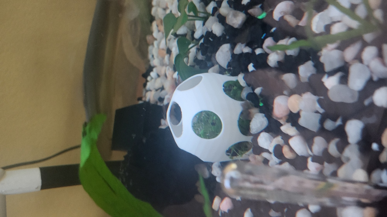 Aquarium Plant Protector/Guard
