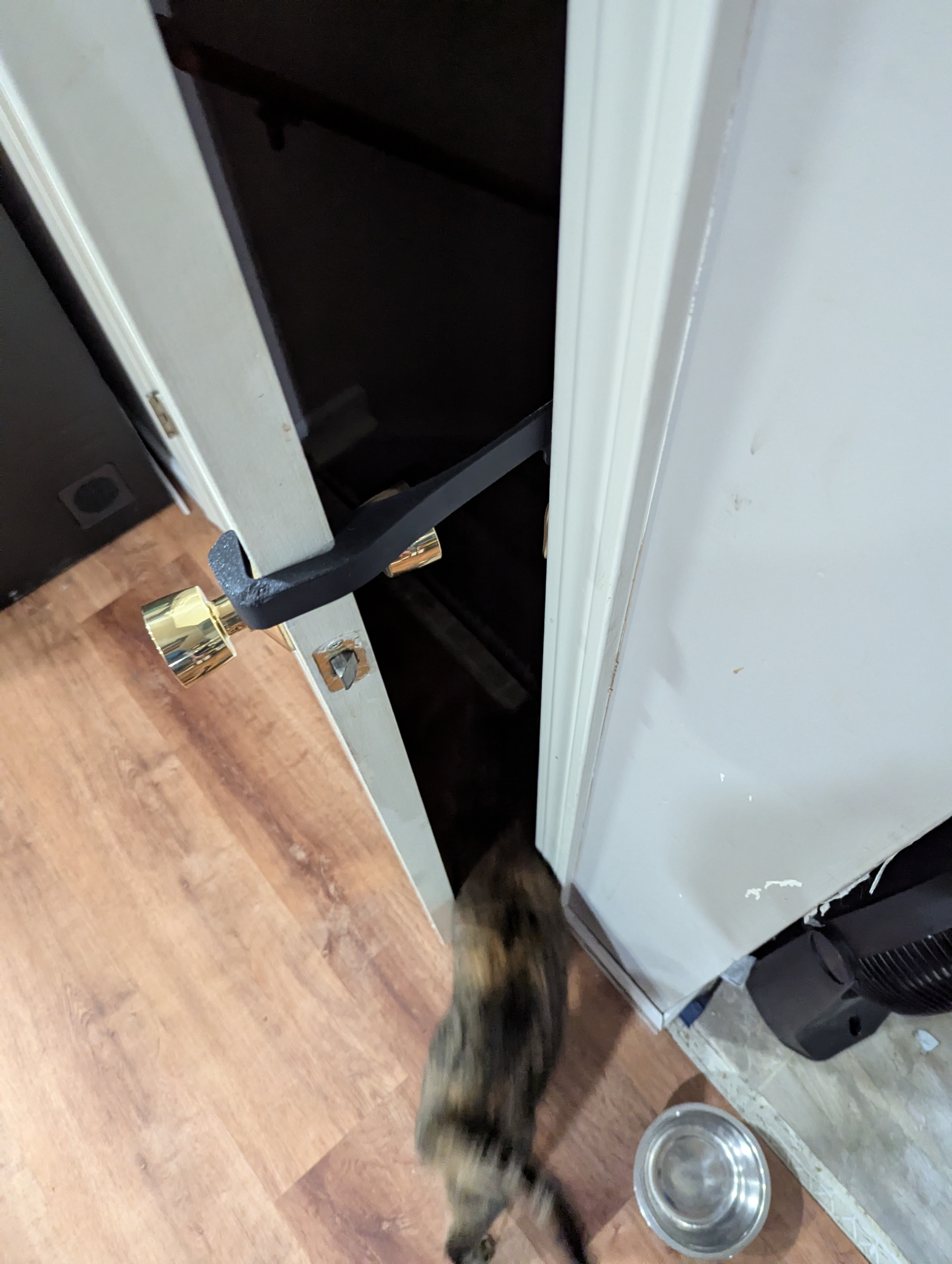 Cat Door Holder