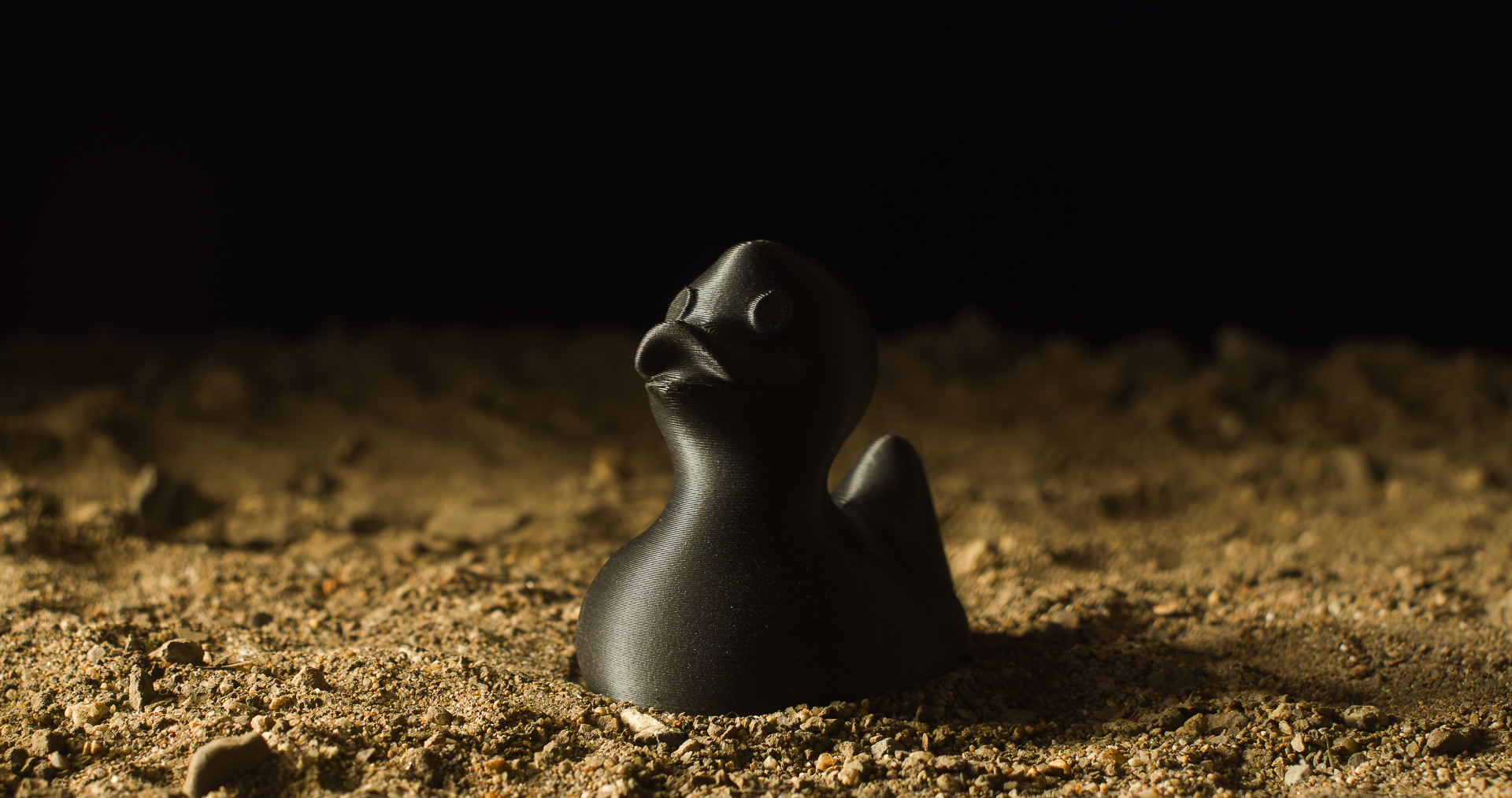 The Amazing Duck
