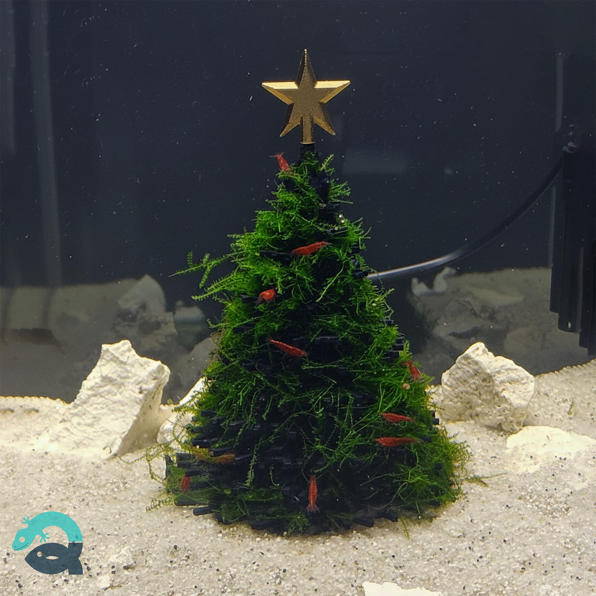 Aquarium Christmas Tree Decoration (Moss Not Included) 🎄🐠
