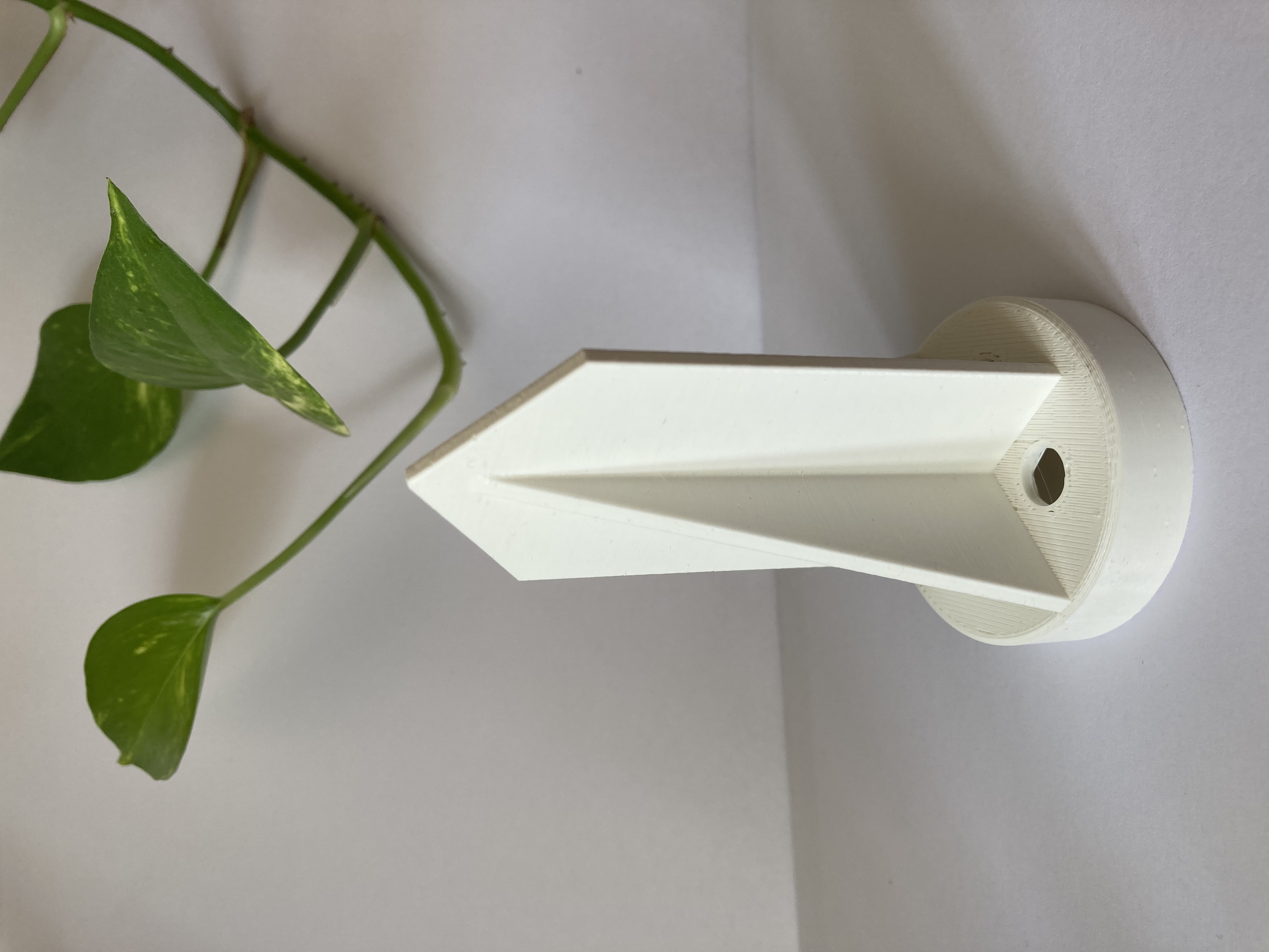 Moss Pole - Anchor