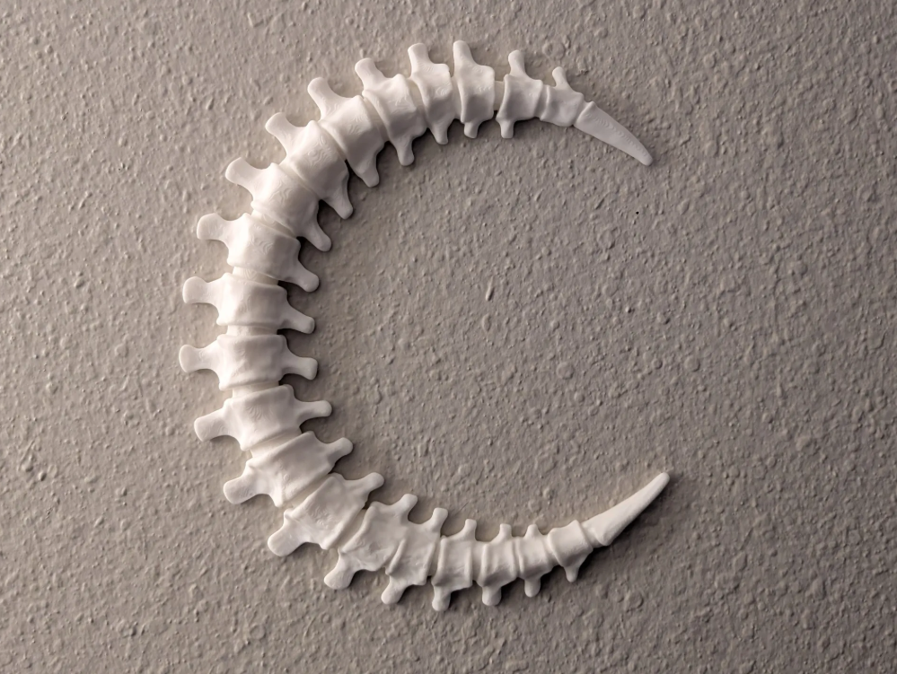 Spinal Moon Wall Decoration - Large Print