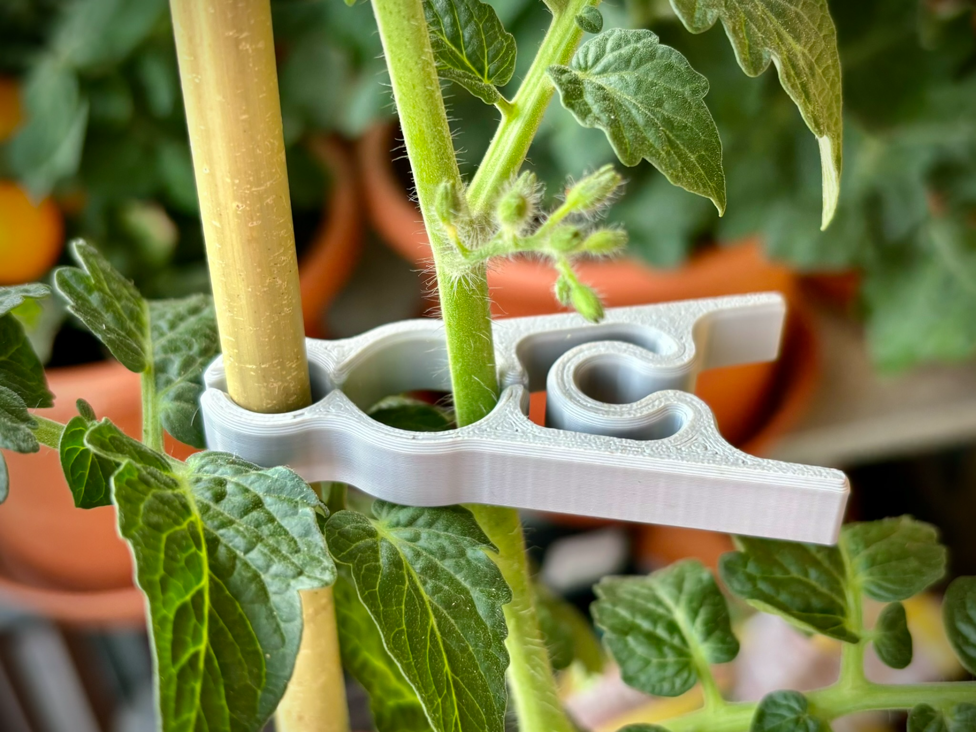 Flower Clip | Grafting Clip | Plant Support | Clamp