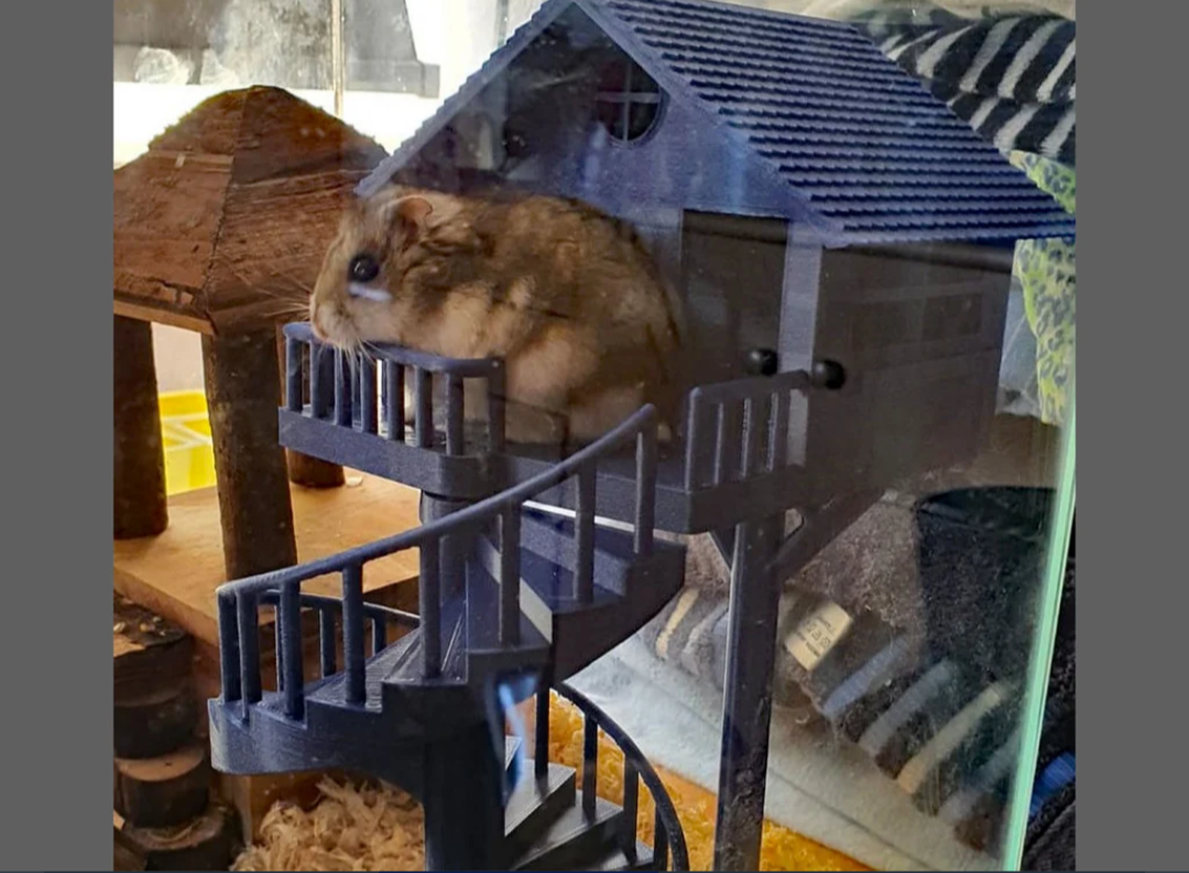 "Mouse (pla.mt.🔵 )(building) or hamster 2 story house"