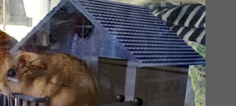 "Mouse (roof) or hamster 2 story home" 