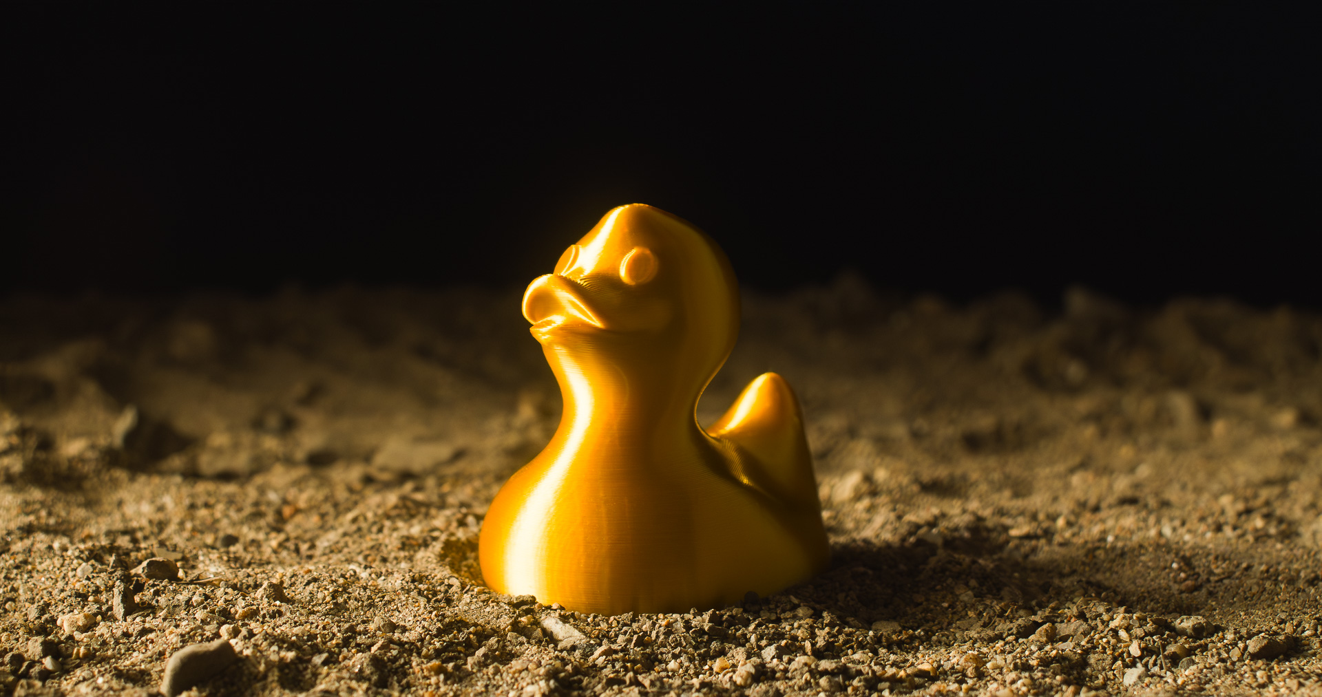 Awesome Duck