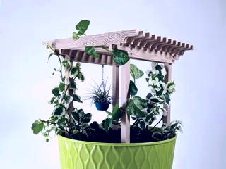 Potted plant pergola 