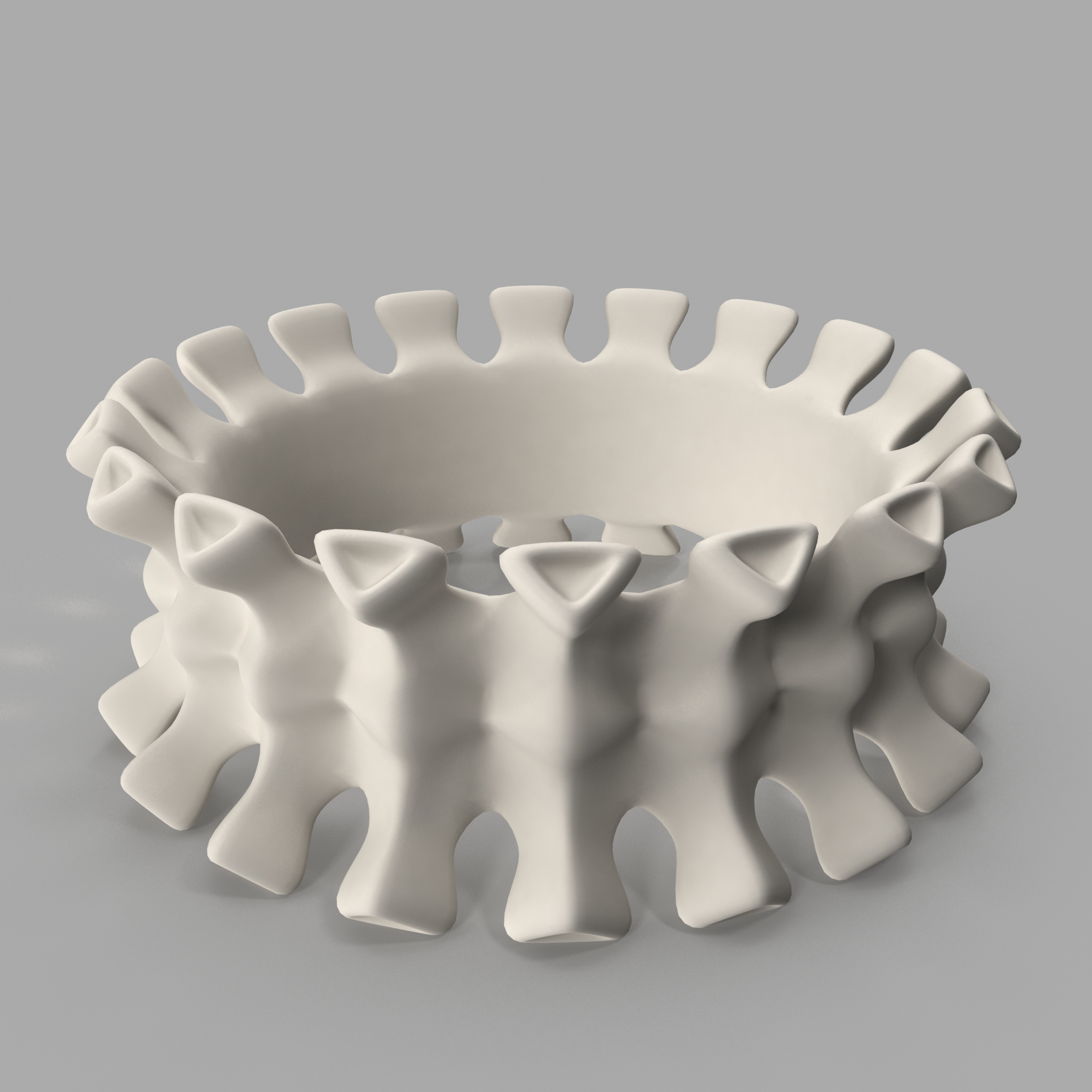 Bone Bracelet